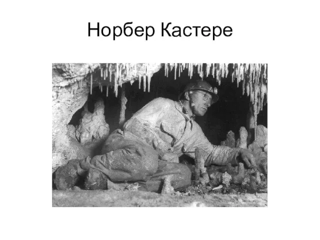 Норбер Кастере