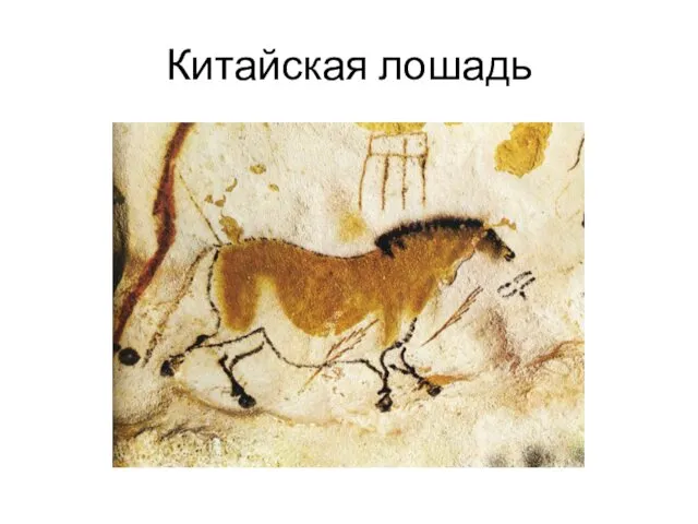 Китайская лошадь