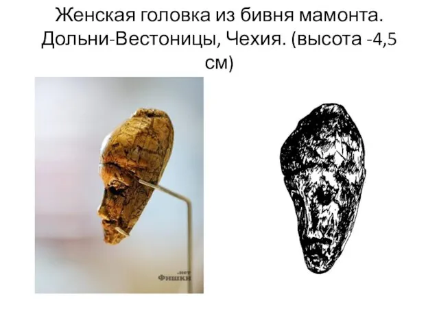 Женская головка из бивня мамонта. Дольни-Вестоницы, Чехия. (высота -4,5 см)