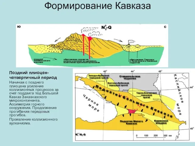 Формирование Кавказа Поздний плиоцен- четвертичный период Начиная с позднего плиоцена усиление