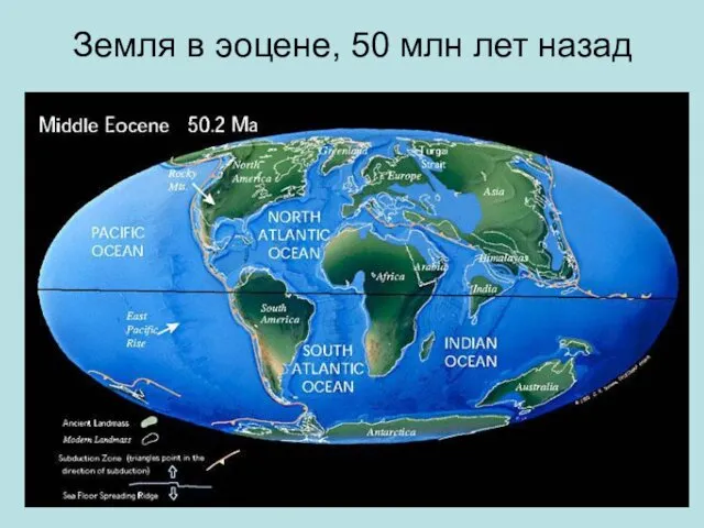 Земля в эоцене, 50 млн лет назад