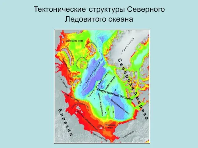 Тектонические структуры Северного Ледовитого океана