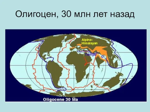 Олигоцен, 30 млн лет назад
