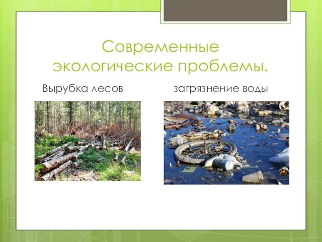 Современные экологические проблемы. Вырубка лесов загрязнение воды