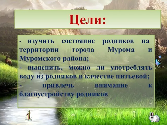 Цели: - изучить состояние родников на территории города Мурома и Муромского