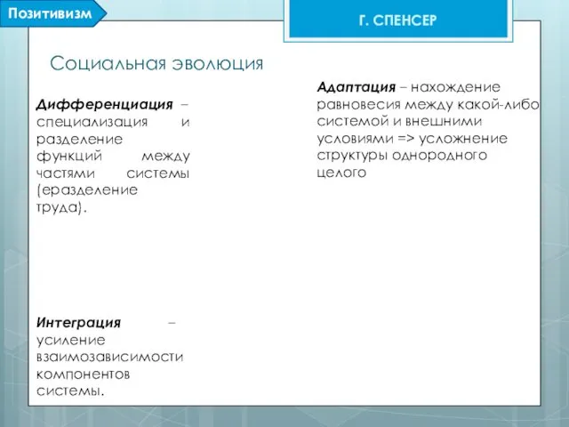 Социальная эволюция Г. СПЕНСЕР Дифференциация – специализация и разделение функций между
