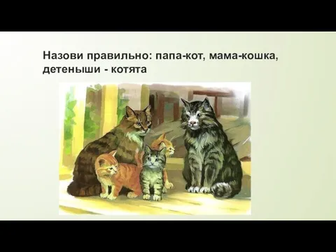 Назови правильно: папа-кот, мама-кошка, детеныши - котята