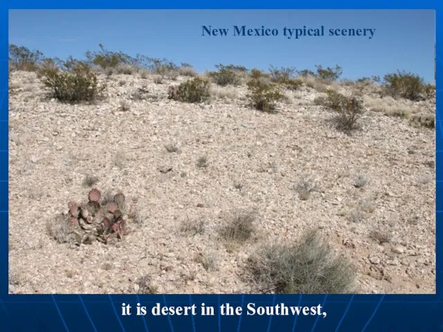 New Mexico typical scenery it is desert in the Southwest,