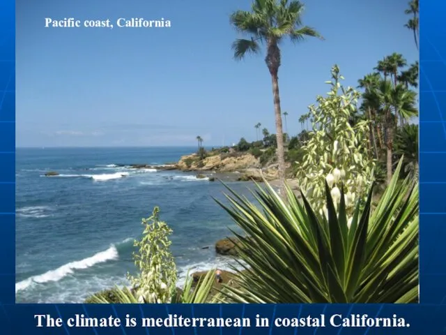 Pacific coast, California The climate is mediterranean in coastal California.