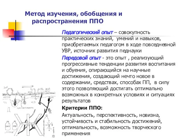 Метод изучения, обобщения и распространения ППО Педагогический опыт – совокупность практических