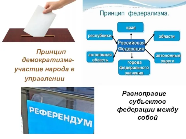 Принцип демократизма- участие народа в управлении Равноправие субъектов федерации между собой