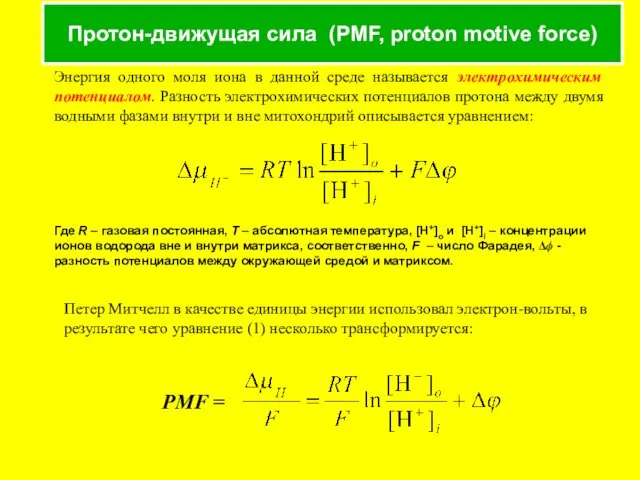 Протон-движущая сила (PMF, proton motive force) Энергия одного моля иона в