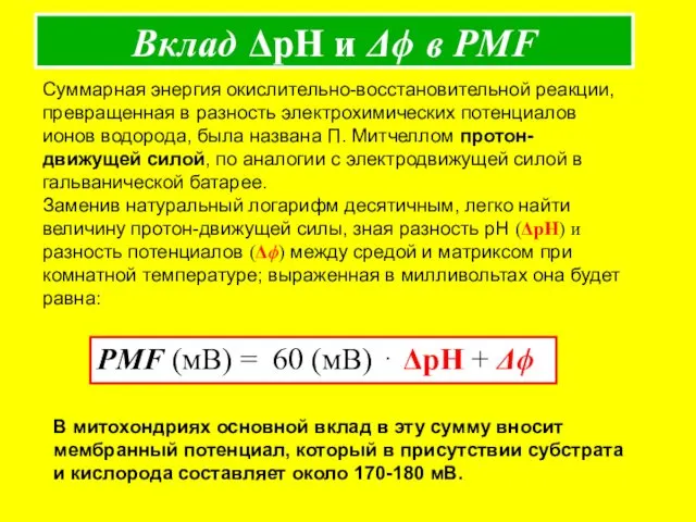 Вклад ΔpH и Δϕ в PMF Суммарная энергия окислительно-восстановительной реакции, превращенная