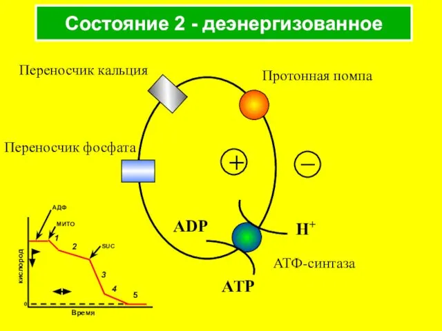 Состояние 2 - деэнергизованное