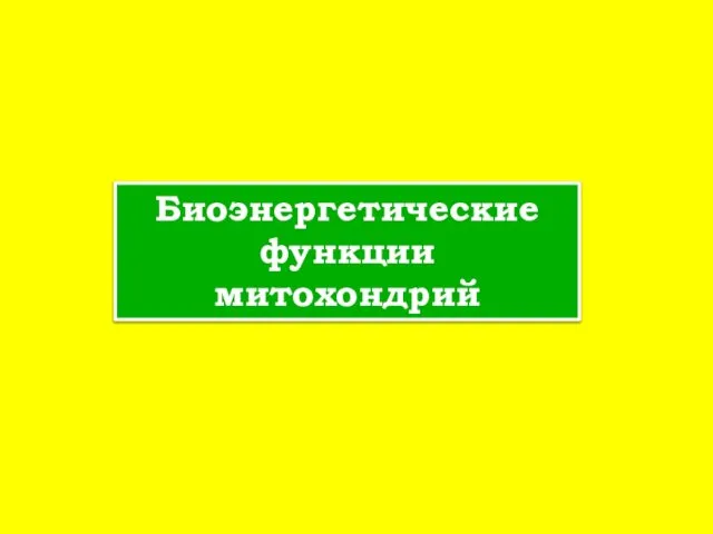 Биоэнергетические функции митохондрий