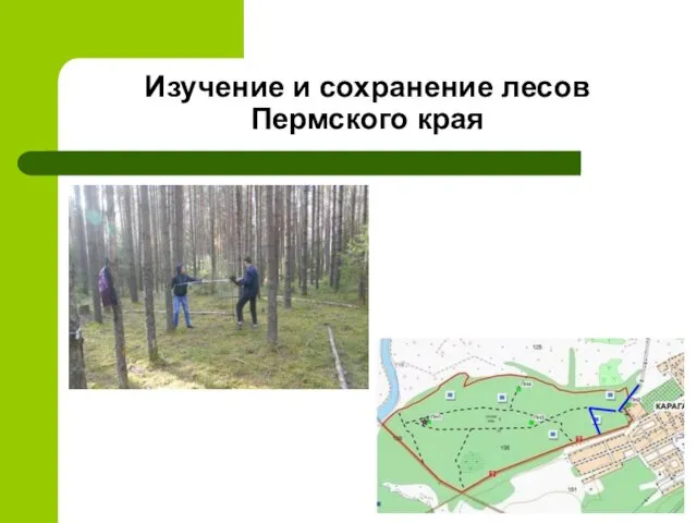 Изучение и сохранение лесов Пермского края
