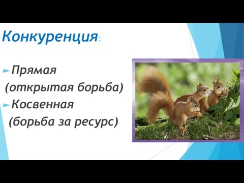 Конкуренция: Прямая (открытая борьба) Косвенная (борьба за ресурс)