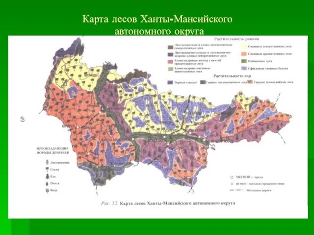 Карта лесов Ханты-Мансийского автономного округа