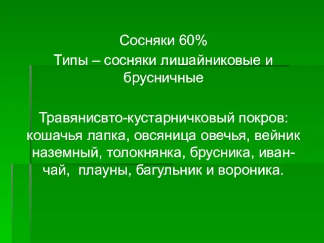 Сосняки 60% Типы – сосняки лишайниковые и брусничные Травянисвто-кустарничковый покров: кошачья