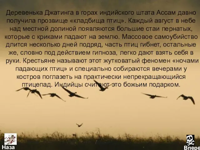 Деревенька Джатинга в горах индийского штата Ассам давно получила прозвище «кладбища