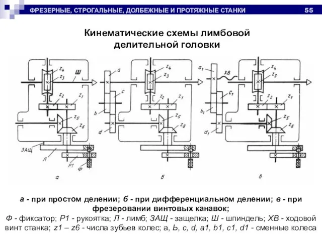 ФРЕЗЕРНЫЕ, СТРОГАЛЬНЫЕ, ДОЛБЕЖНЫЕ И ПРОТЯЖНЫЕ СТАНКИ Кинематические схемы лимбовой делительной головки