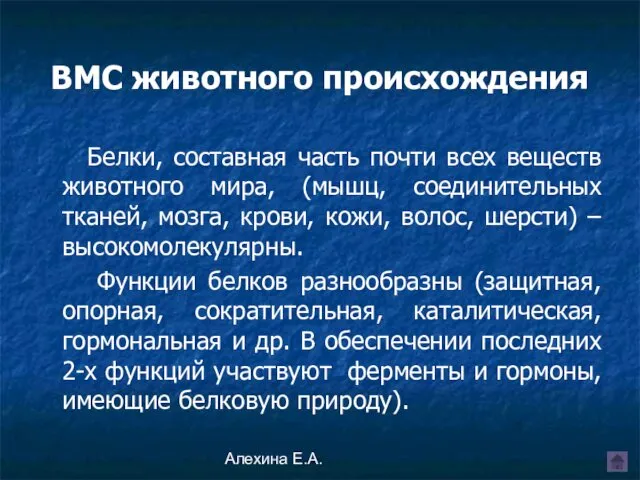 Алехина Е.А. ВМС животного происхождения Белки, составная часть почти всех веществ