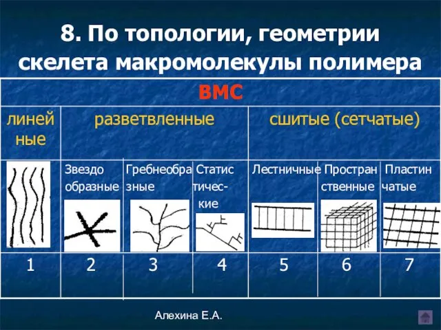 Алехина Е.А. 8. По топологии, геометрии скелета макромолекулы полимера