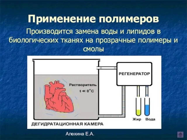 Алехина Е.А. Производится замена воды и липидов в биологических тканях на