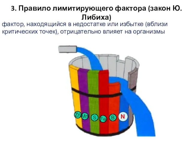 3. Правило лимитирующего фактора (закон Ю. Либиха) фактор, находящийся в недостатке