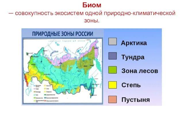 Биом — совокупность экосистем одной природно-климатической зоны.