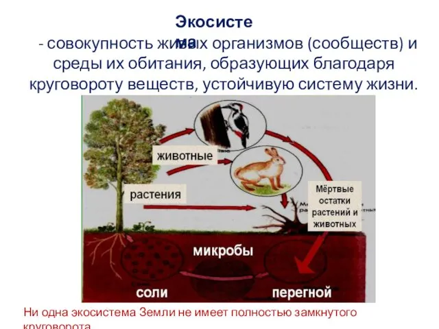 - совокупность живых организмов (сообществ) и среды их обитания, образующих благодаря