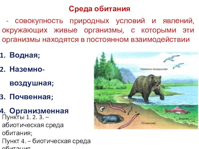 Среда обитания - совокупность природных условий и явлений, окружающих живые организмы,