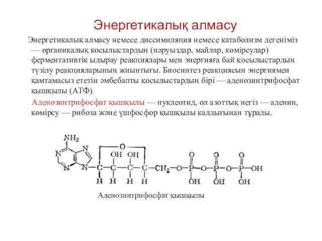 Энергетикалық алмасу Энергетикалық алмасу немесе диссимиляция немесе катаболизм дегеніміз — органикалық