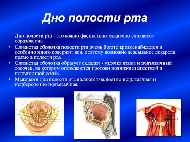 Дно полости рта Дно полости рта - это кожно-фасциатьно-мышечно-слизистое образование. Слизистая