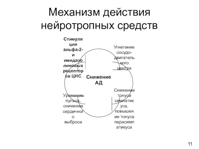 Механизм действия нейротропных средств Снижение АД 11