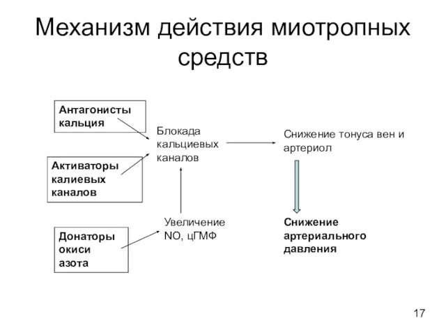 Механизм действия миотропных средств Антагонисты кальция Активаторы калиевых каналов Донаторы окиси