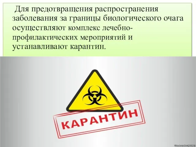 Для предотвращения распространения заболевания за границы биологического очага осуществляют комплекс лечебно-профилактических мероприятий и устанавливают карантин.