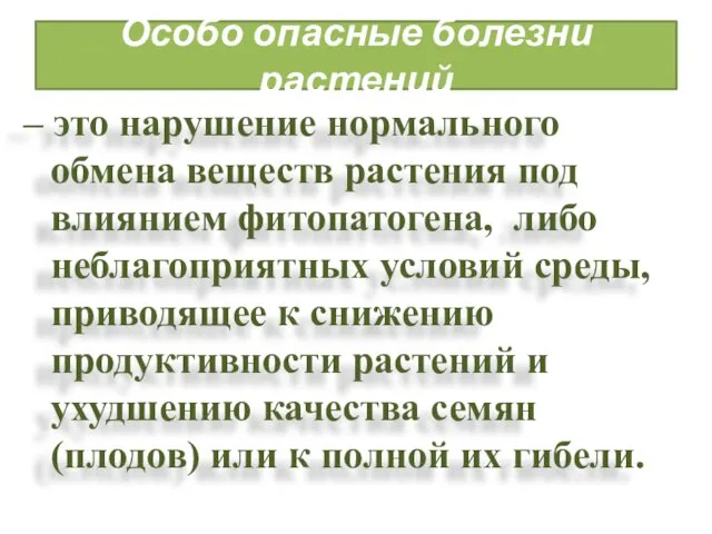 Особо опасные болезни растений – это нарушение нормального обмена веществ растения