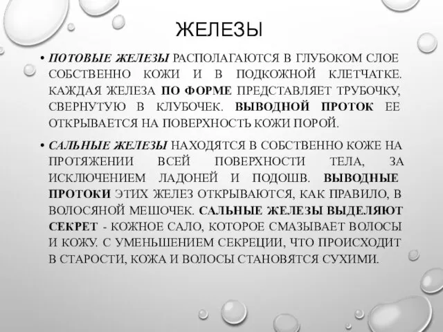 ЖЕЛЕЗЫ ПОТОВЫЕ ЖЕЛЕЗЫ РАСПОЛАГАЮТСЯ В ГЛУБОКОМ СЛОЕ СОБСТВЕННО КОЖИ И В