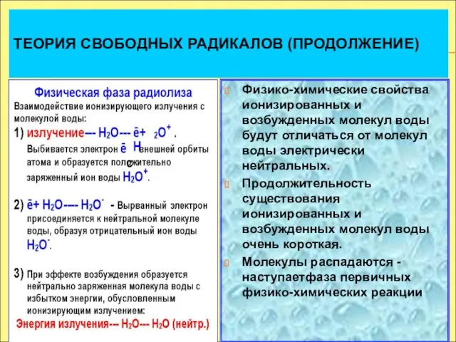 Физико-химические свойства ионизированных и возбужденных молекул воды будут отличаться от молекул