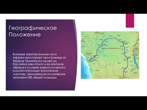 Географическое Положение Влажные экваториальные леса Африки простирают свои границы от берегов