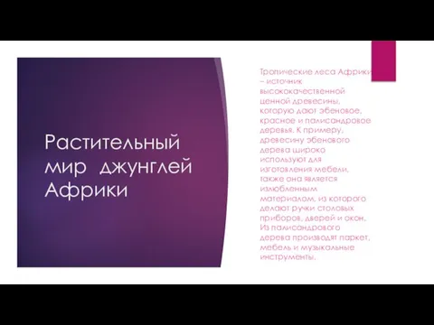 Растительный мир джунглей Африки Тропические леса Африки – источник высококачественной ценной