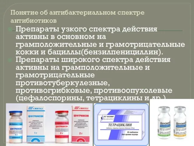 Понятие об антибактериальном спектре антибиотиков Препараты узкого спектра действия активны в