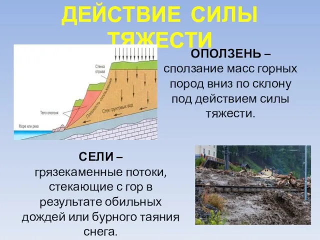 ДЕЙСТВИЕ СИЛЫ ТЯЖЕСТИ ОПОЛЗЕНЬ – сползание масс горных пород вниз по