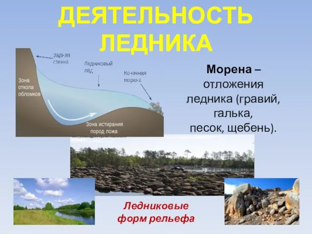 ДЕЯТЕЛЬНОСТЬ ЛЕДНИКА Морена – отложения ледника (гравий, галька, песок, щебень). Ледниковые форм рельефа