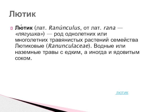 Лю́тик (лат. Ranúnculus, от лат. rana — «лягушка») — род однолетних