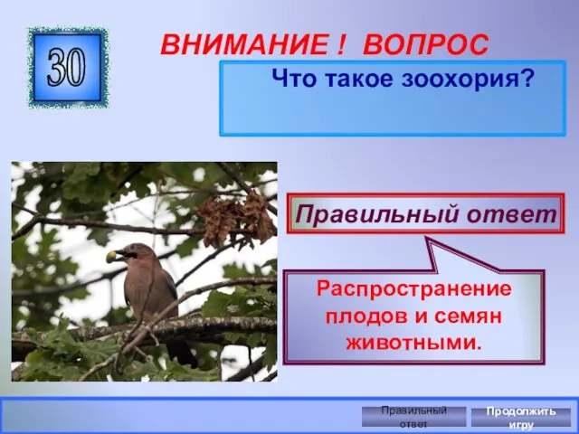 ВНИМАНИЕ ! ВОПРОС Что такое зоохория? 30 Правильный ответ Распространение плодов