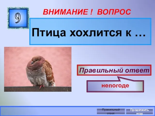 ВНИМАНИЕ ! ВОПРОС Птица хохлится к … 9 Правильный ответ непогоде Правильный ответ Продолжить игру