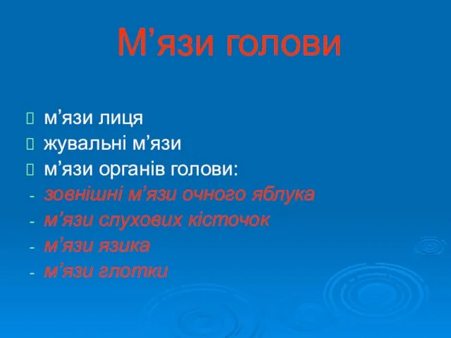 М’язи голови м’язи лиця жувальні м’язи м’язи органів голови: зовнішні м’язи