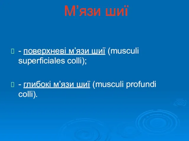 М’язи шиї - поверхневі м’язи шиї (musculi superficiales colli); - глибокі м’язи шиї (musculi profundi colli).